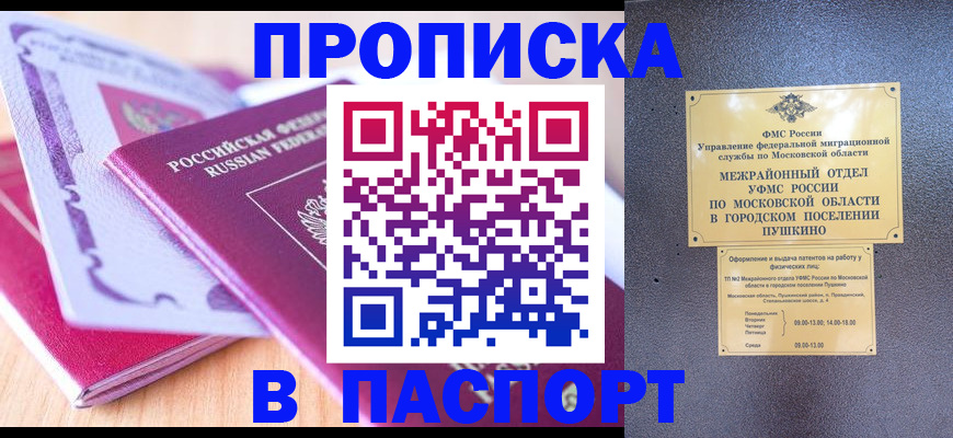 прописка законно в Бийске